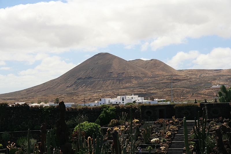 Kanary_2010 229